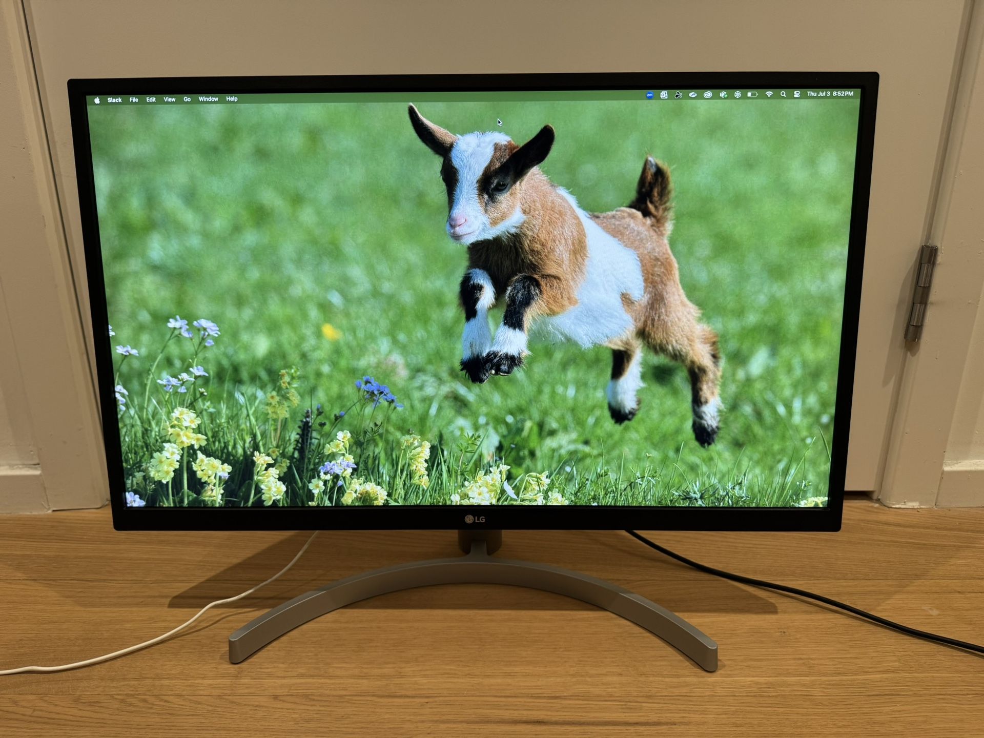 LG 27” 4K UHD Computer Monitor