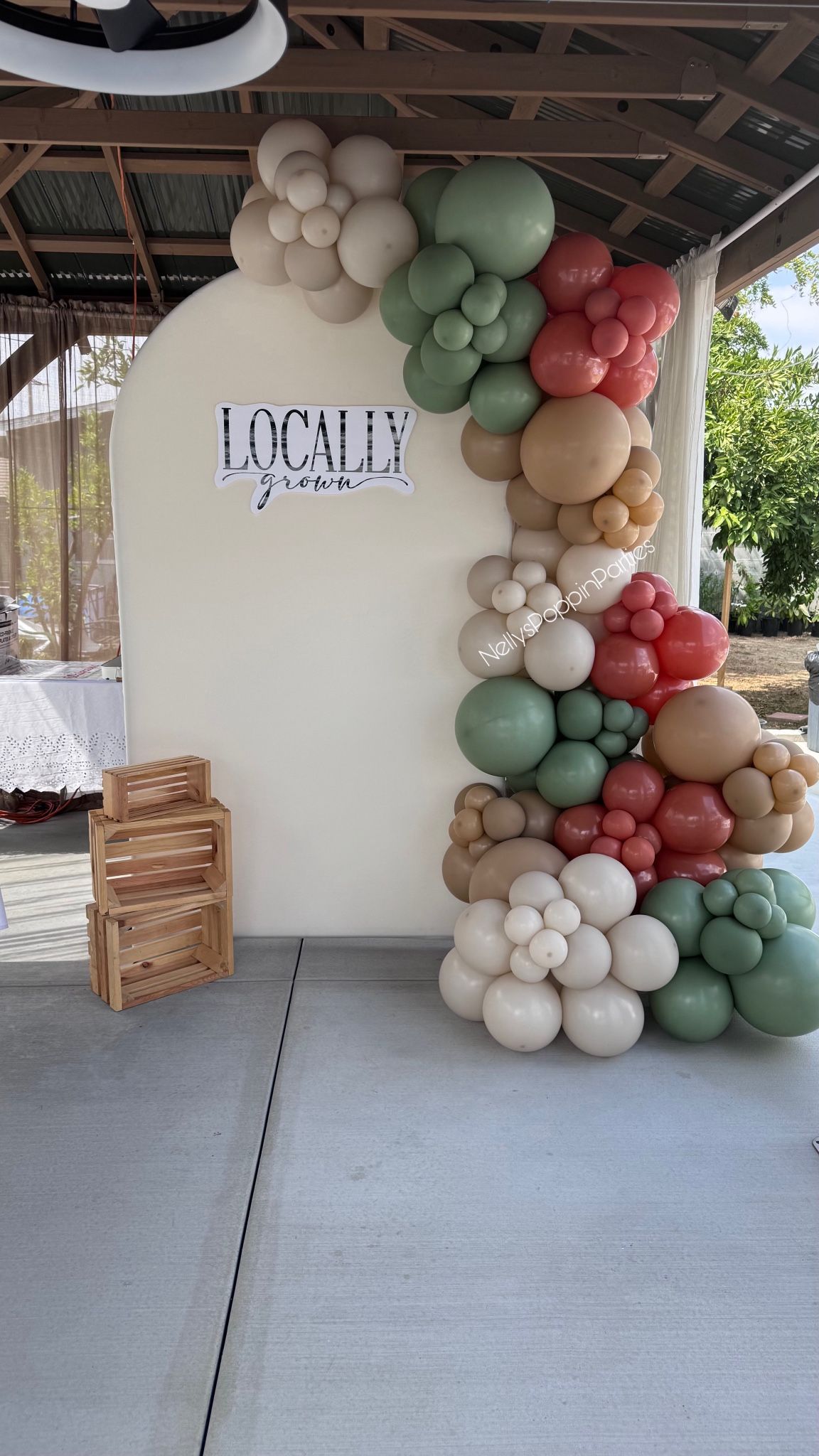 Backdrop Balloons  Decor