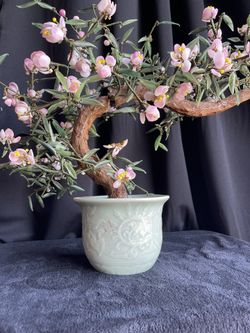 Vintage Chinese Peking Glass Jade Bonsai Tree In Celadon Planter, Glass  Jade Bonsai Tree, Glass Bonsai, Peking Glass , Vintage Chinese Bunsai for  Sale in Las Vegas, NV - OfferUp