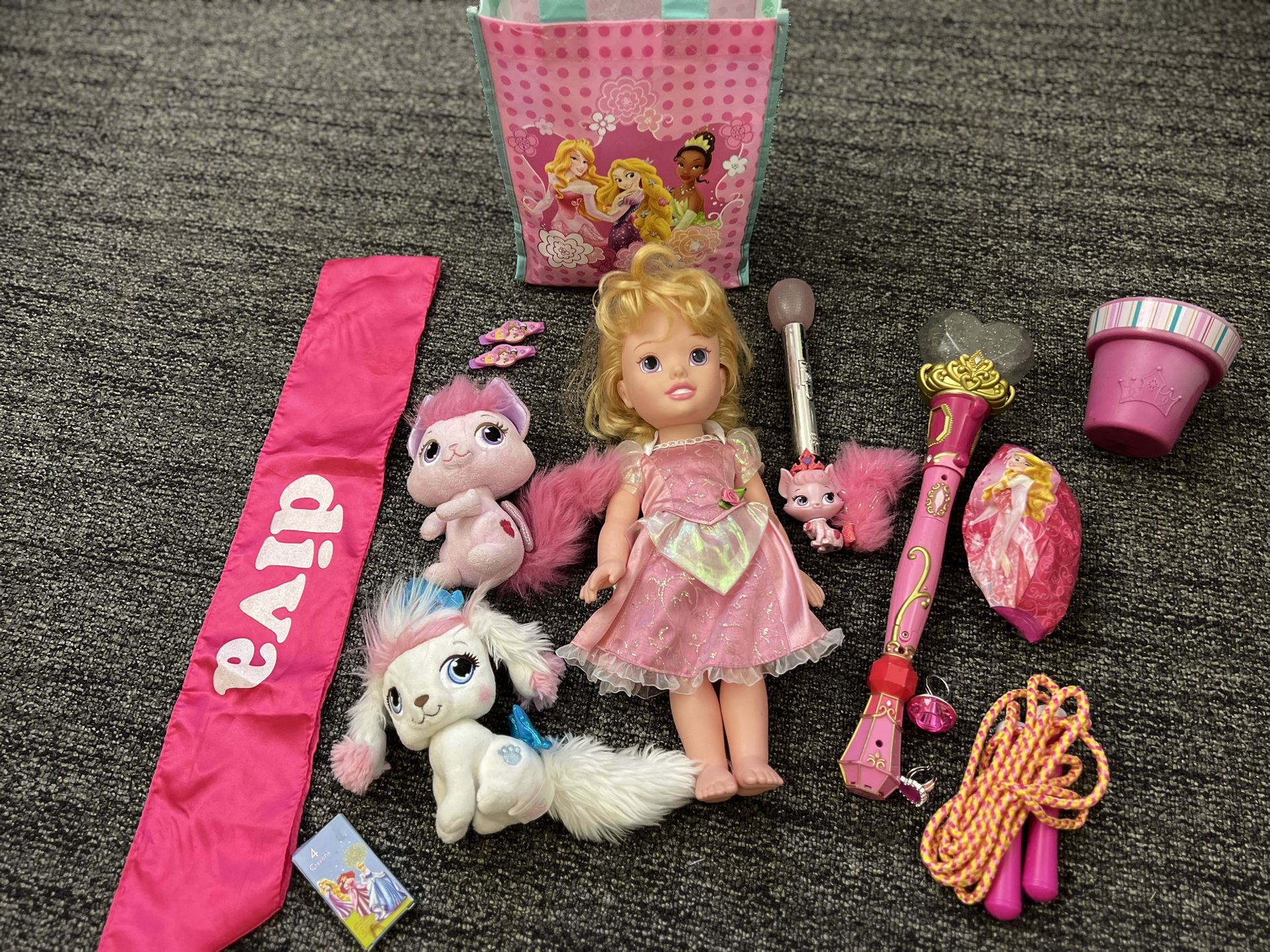 Aurora Princess Doll & Accessories