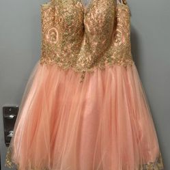 Quince Dama/Short Prom Dress