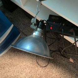 Turtle Sun Light Lamp