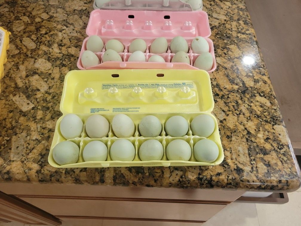 Fresh Easter Eggs
