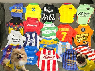 Playeras de equipos para perritos o gatos Dog and cat jerseys