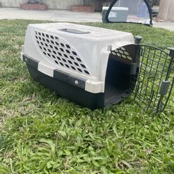 Dog Travel