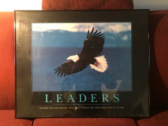 Motivational photos/pictures in large frames.