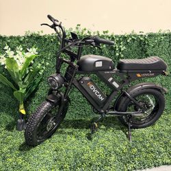 Dual Motor Dual Batteries Electric Bike 