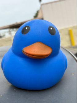Squeezy Ducks