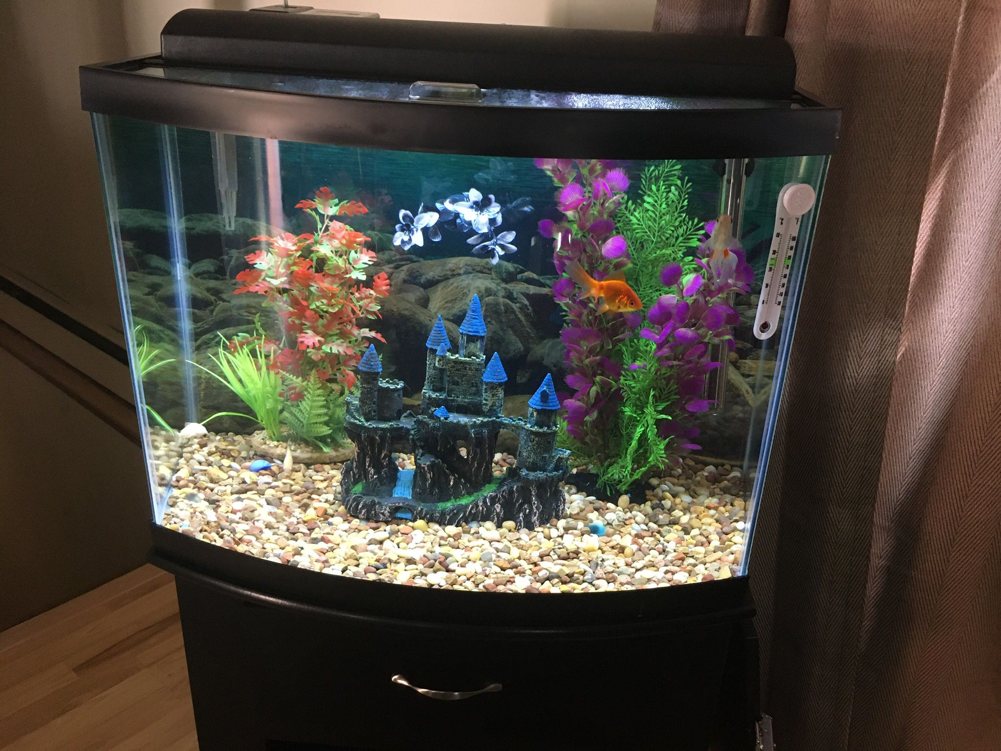 20 gallon fish tank With custom stand