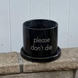 Plant Pots 
