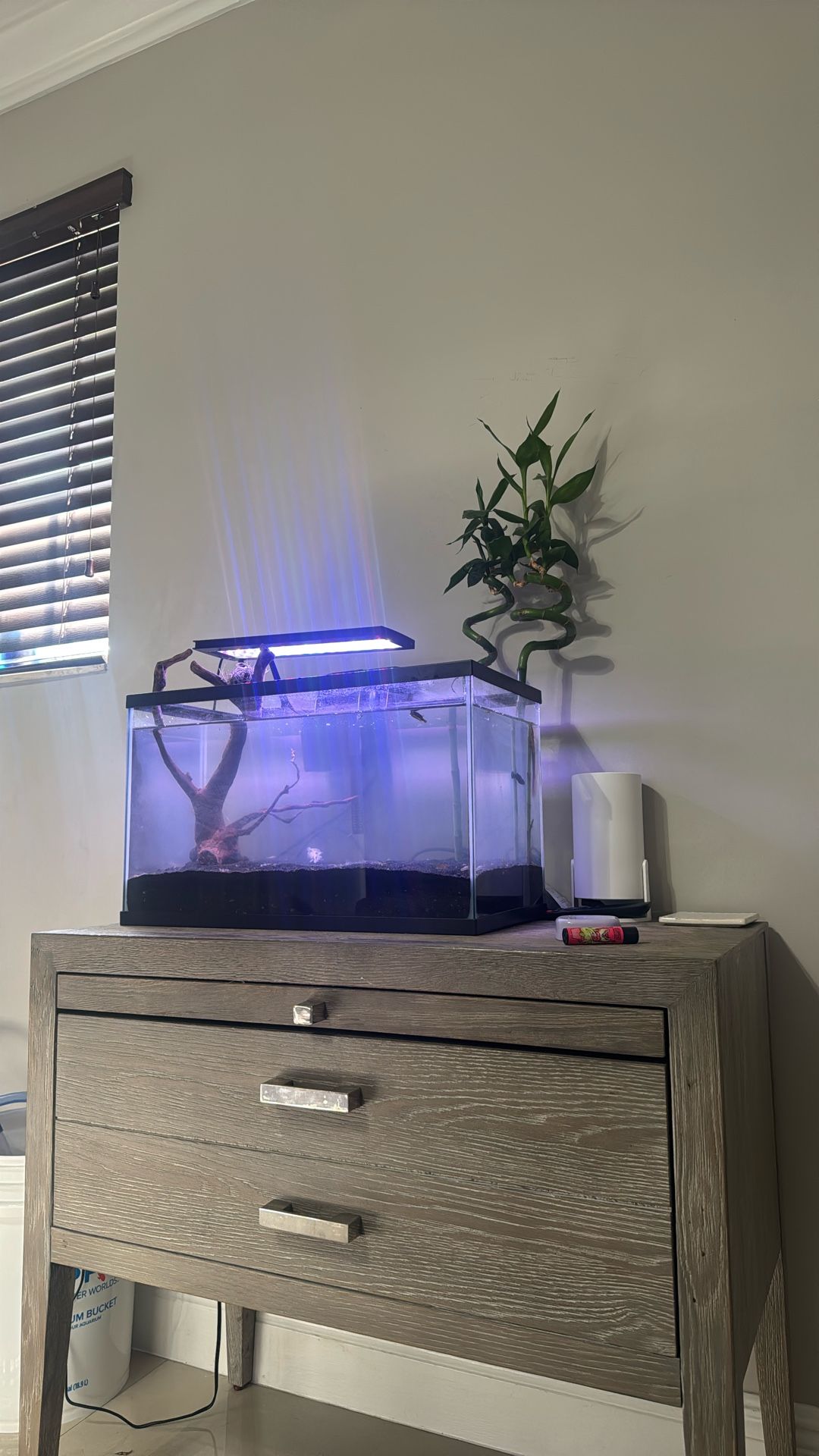 Fish Tank 10 Gallon