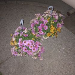 🌺🌹Hanging Baskets And Pretty Potted  Flowers 🌺🌹