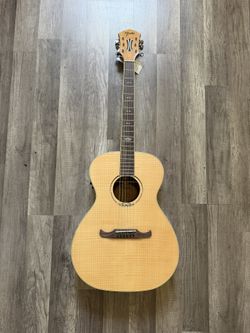 Guitar “fender”