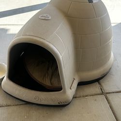Dog Igloo