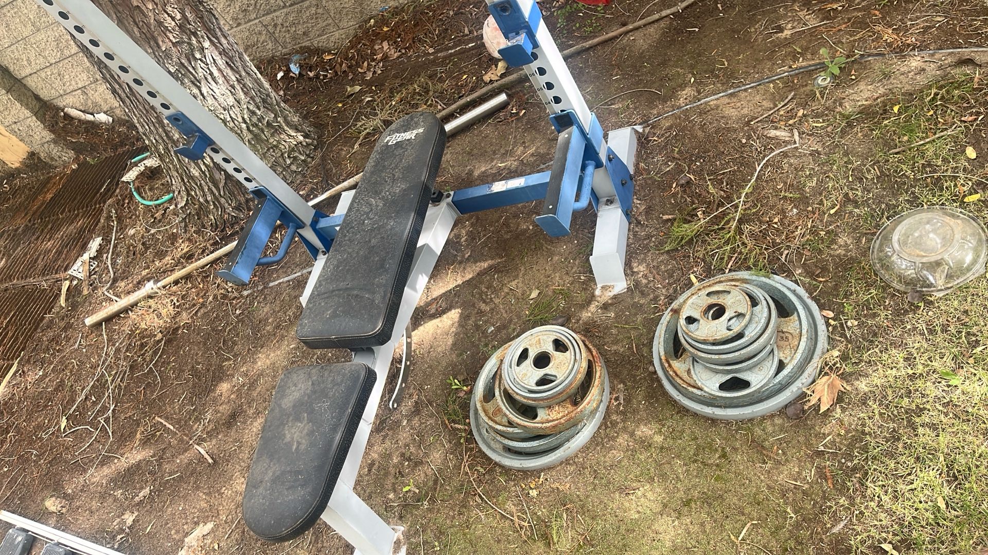 Bench Press 45 Pound Olympic Bar 300 Pounds In Weights