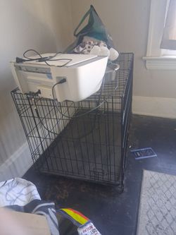 Dog cage