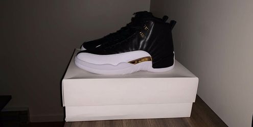 Jordan 12 wings
