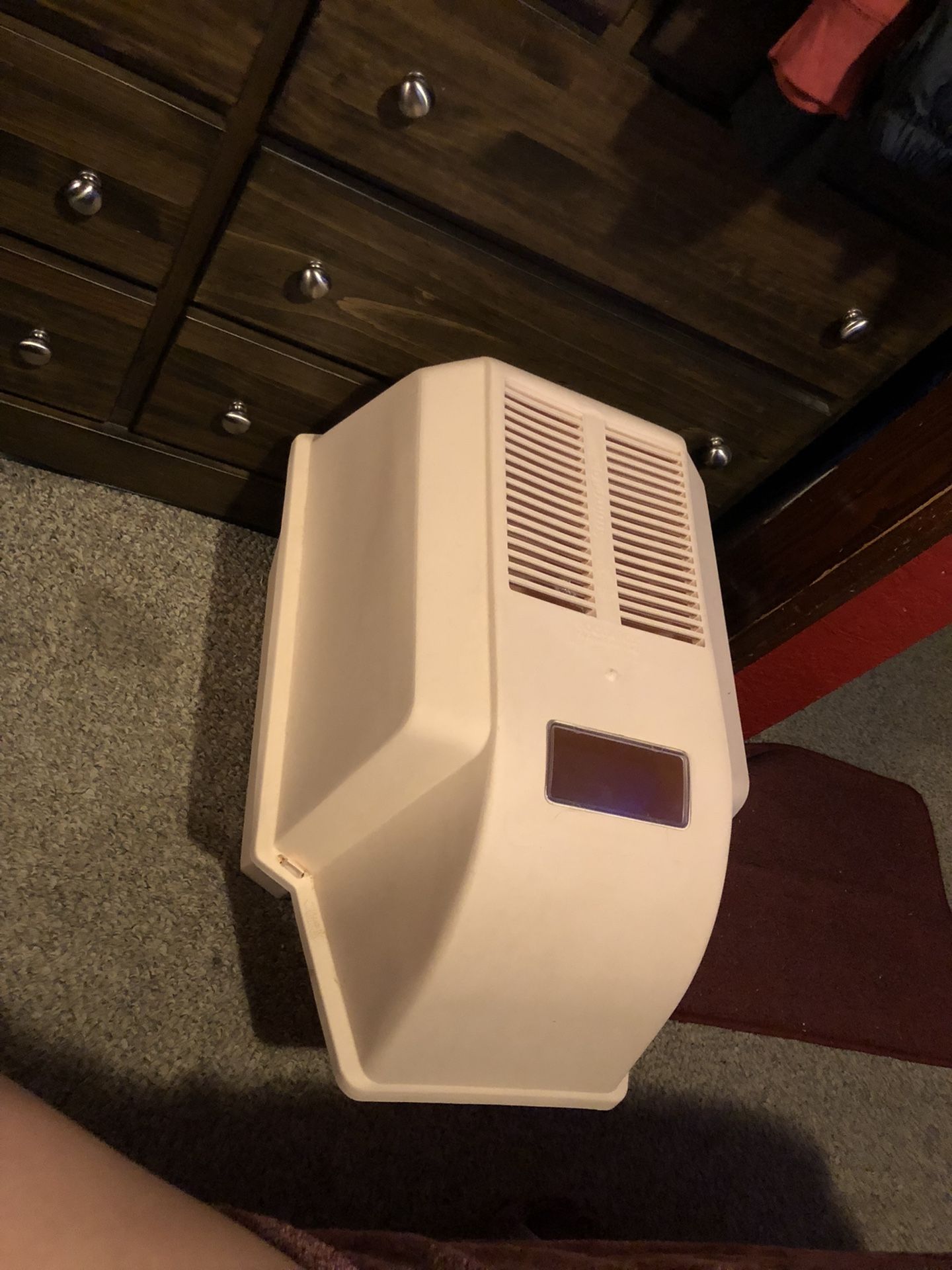Large Litter Box