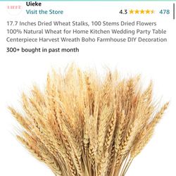 Dried Wheat Stalks