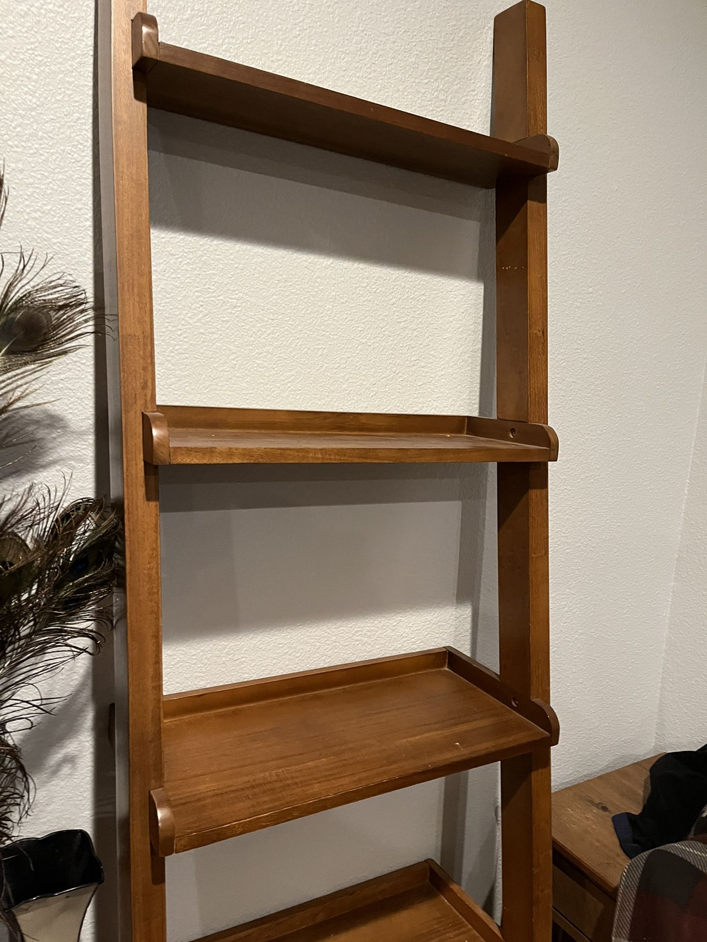 Falan Ladder Book Shelf