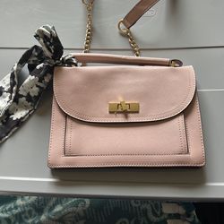 Steve Madden Purse 