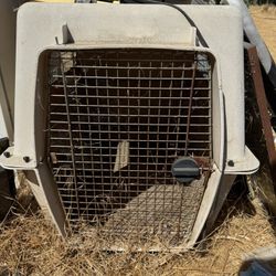 Large Dog Crate/Kennel