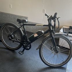 Radpower E-bike Radmission