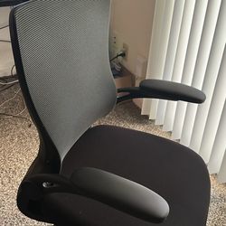 Office/Gaming Chair