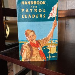 Boy Scout Paperback