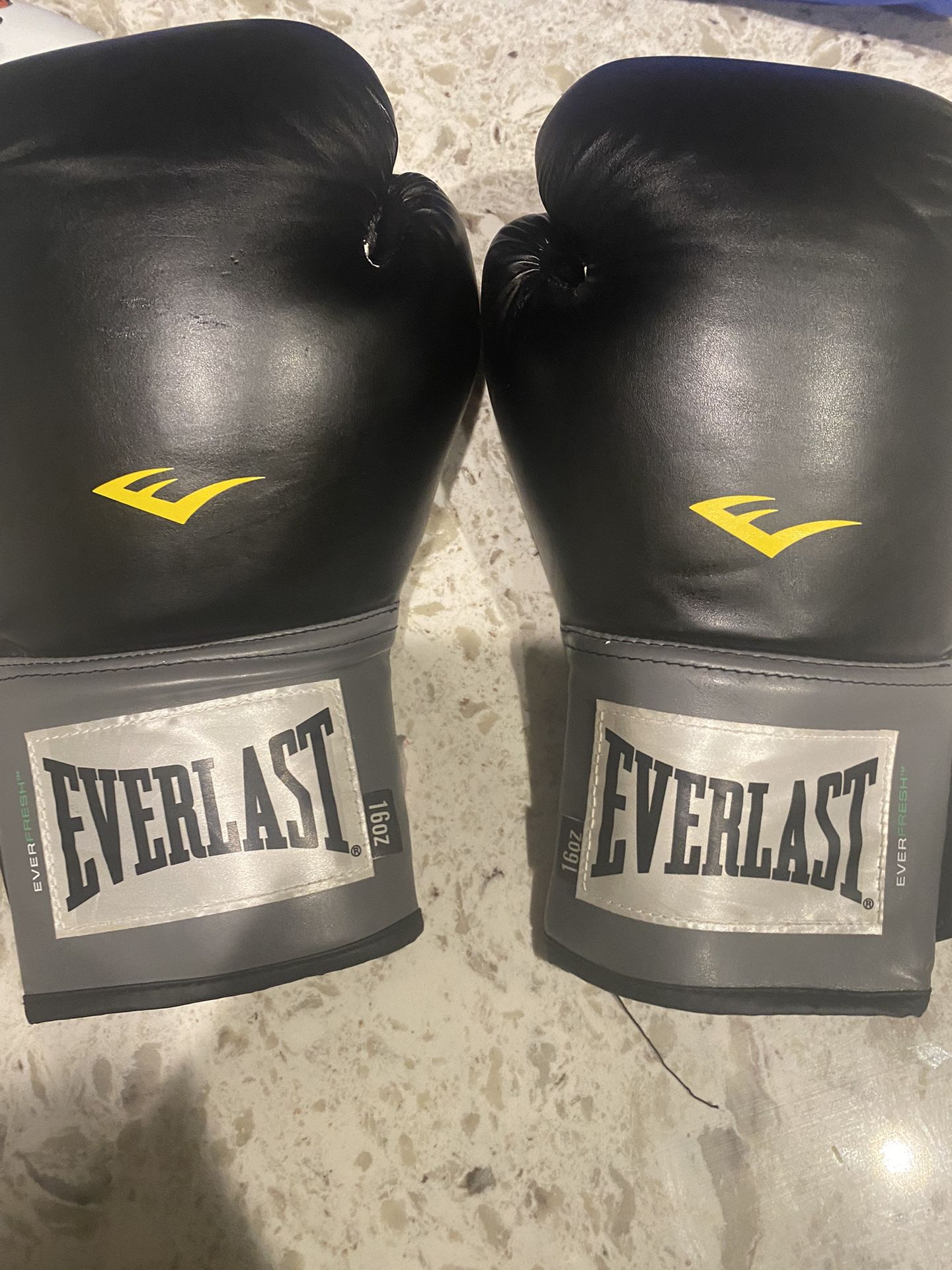 Everlast Boxing Gloves