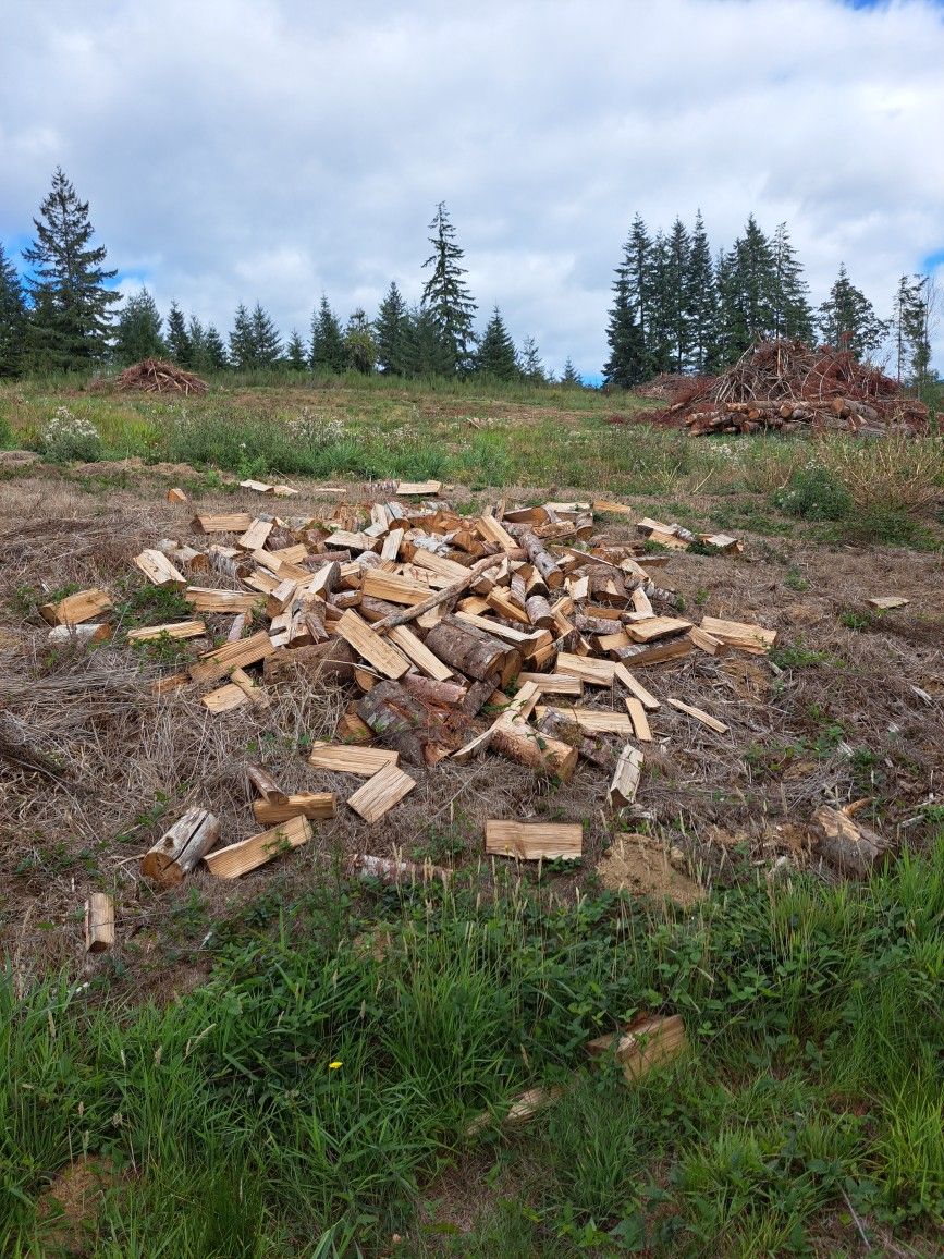 Firewood