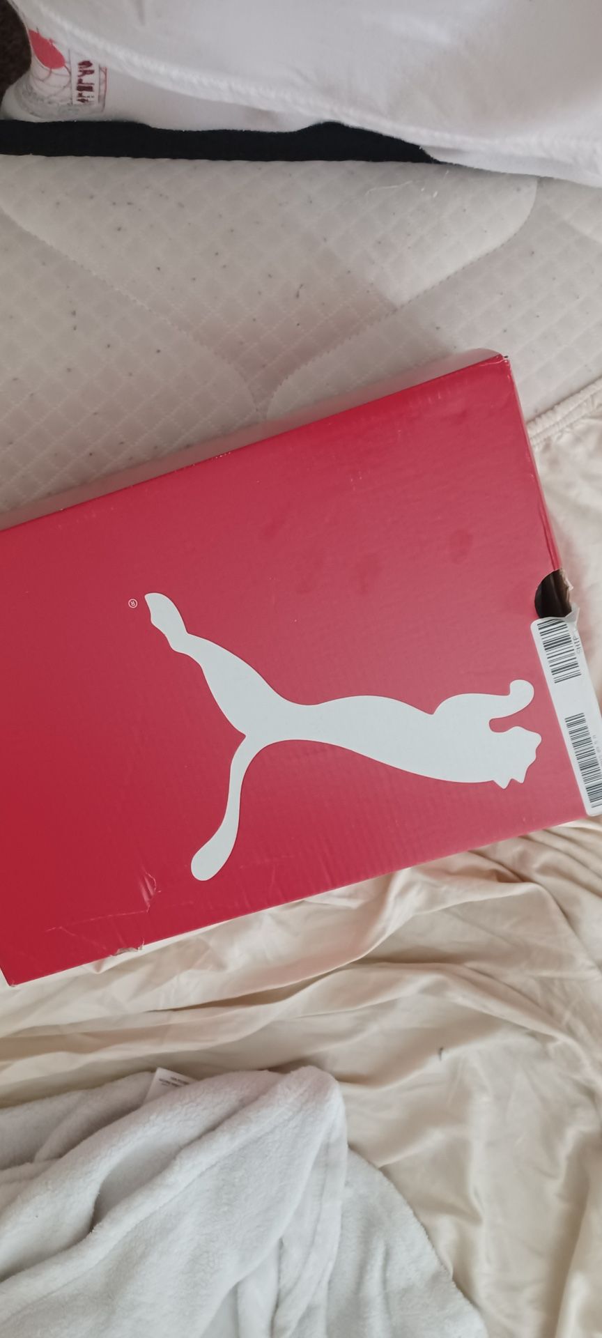 Puma