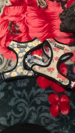 Frenchie Bulldog Harness Size Medium