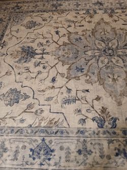 Brand New lite colored Area Rug