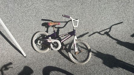 Starburst MAGNA Girl Bike