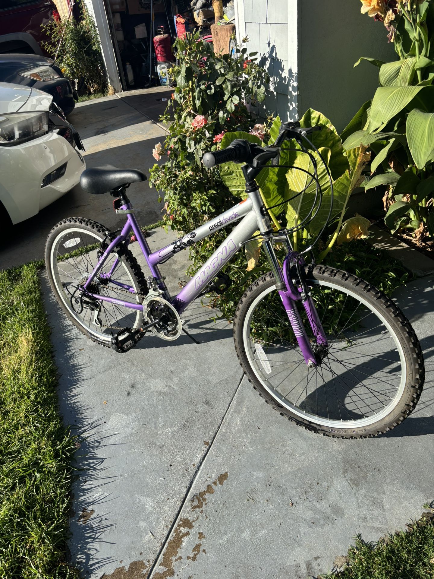 Purple Magna 21 Speed Women's Mountain Bike Bike Magna For
