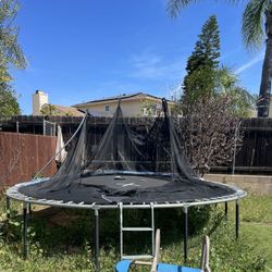 Trampoline 
