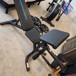 Exercise Bench