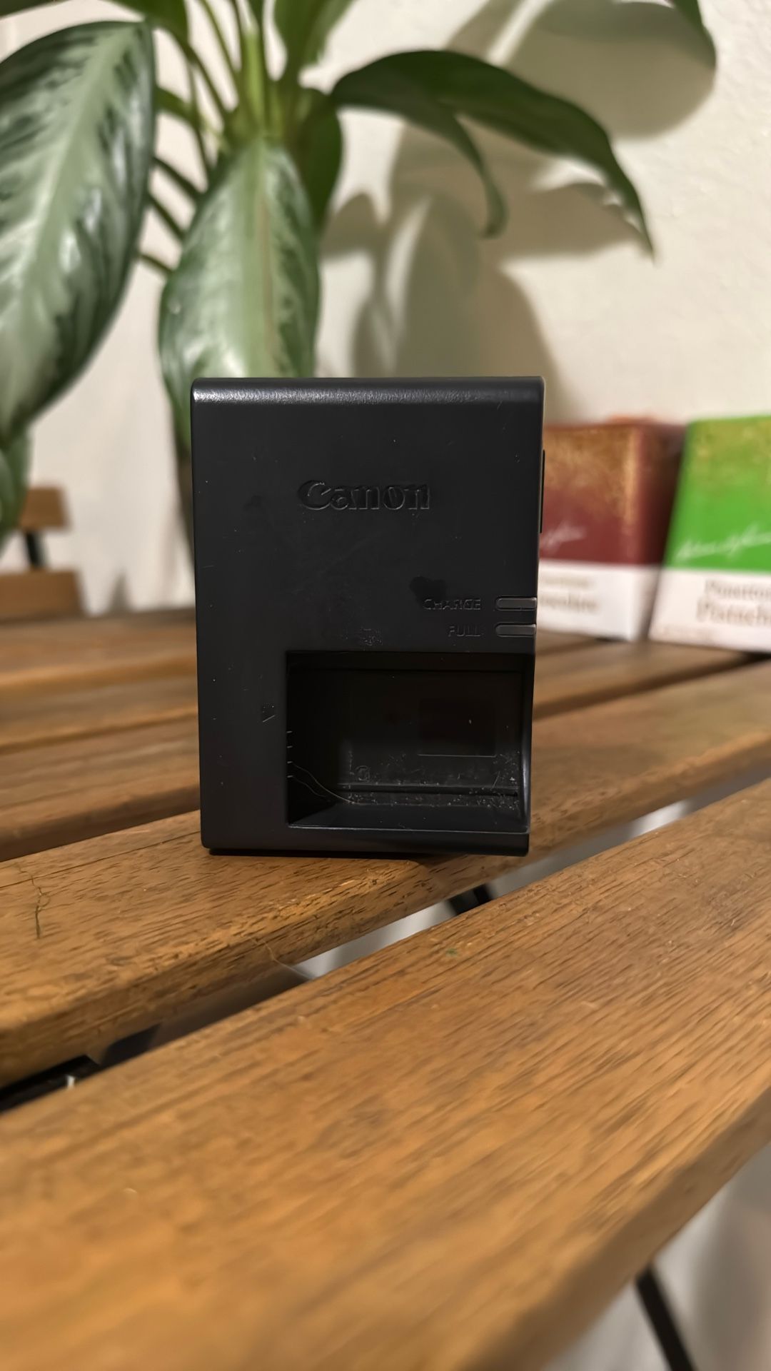 Canon 100V-240V Battery Charger 