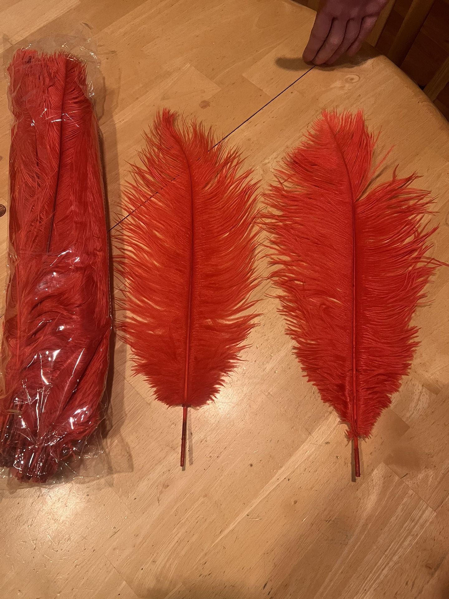 Feathers for Sale in Las Vegas, NV OfferUp