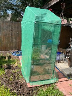 Green house