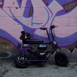 Doodle Bug Mini Bike 