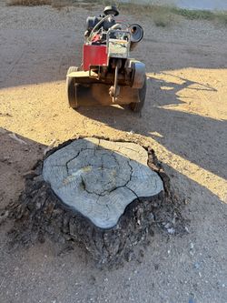Tree Remover stump Grinder