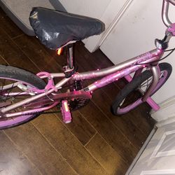 16 Inches Girl Bike