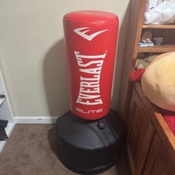 Everlast Elite Stand Up Punching Bag