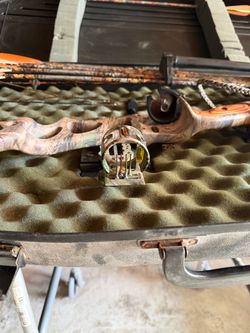 Hoyt Compound bow