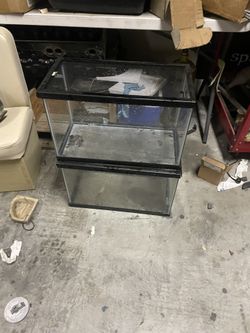 10 Gallon Tank