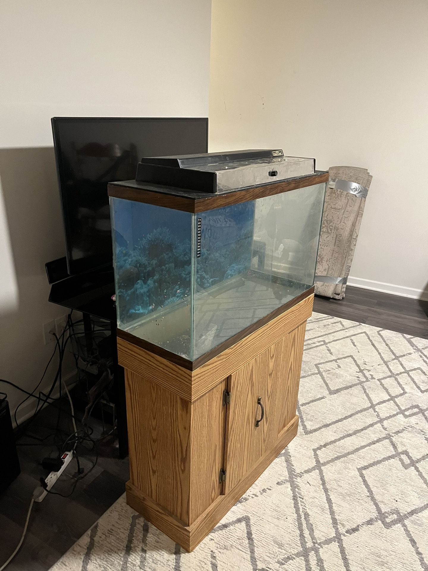 Fish Tank