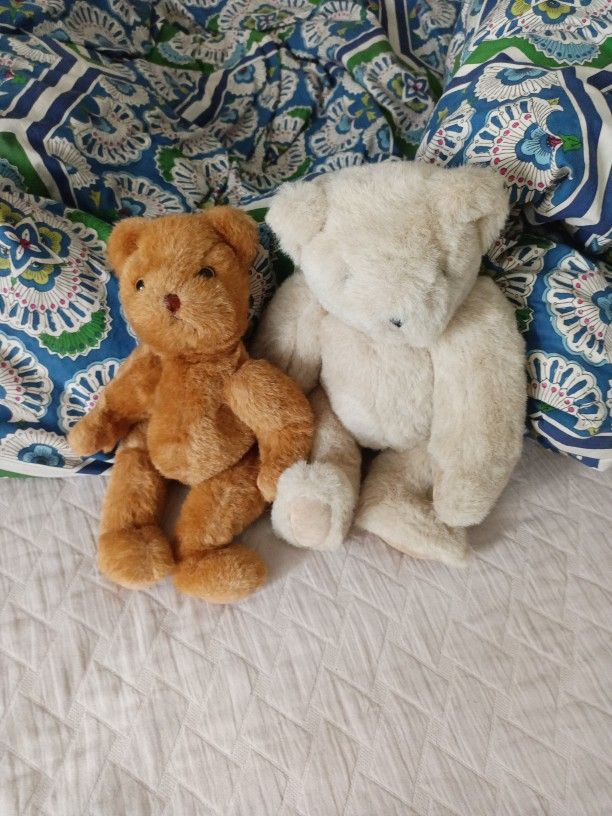 The Vermont Teddy Company