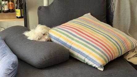 Free sectional sofa! pick up from South Beach